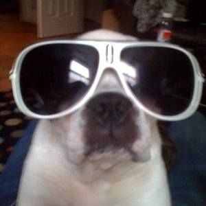 Meet your Posher, Austin